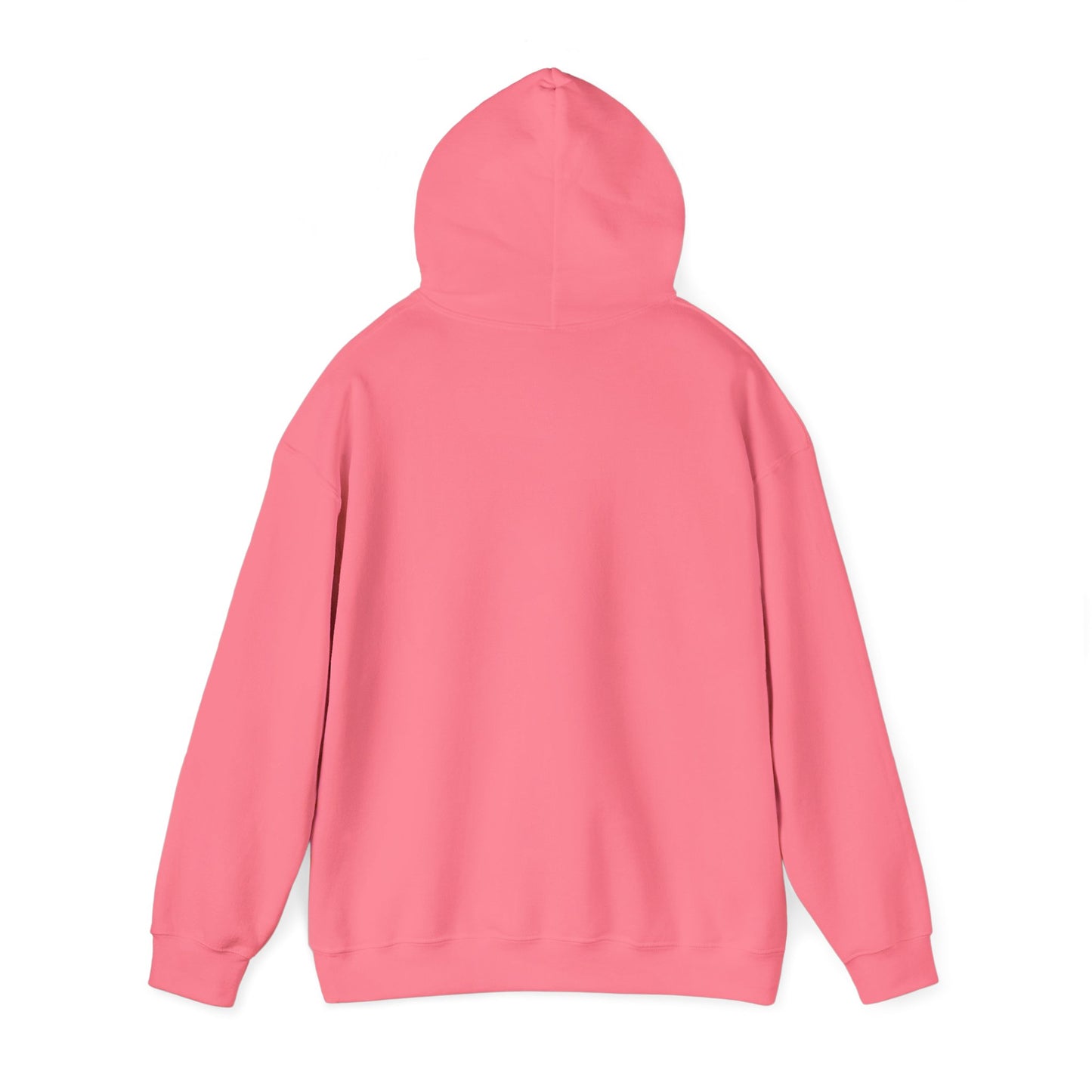 Pink Holy Garment Hoodie
