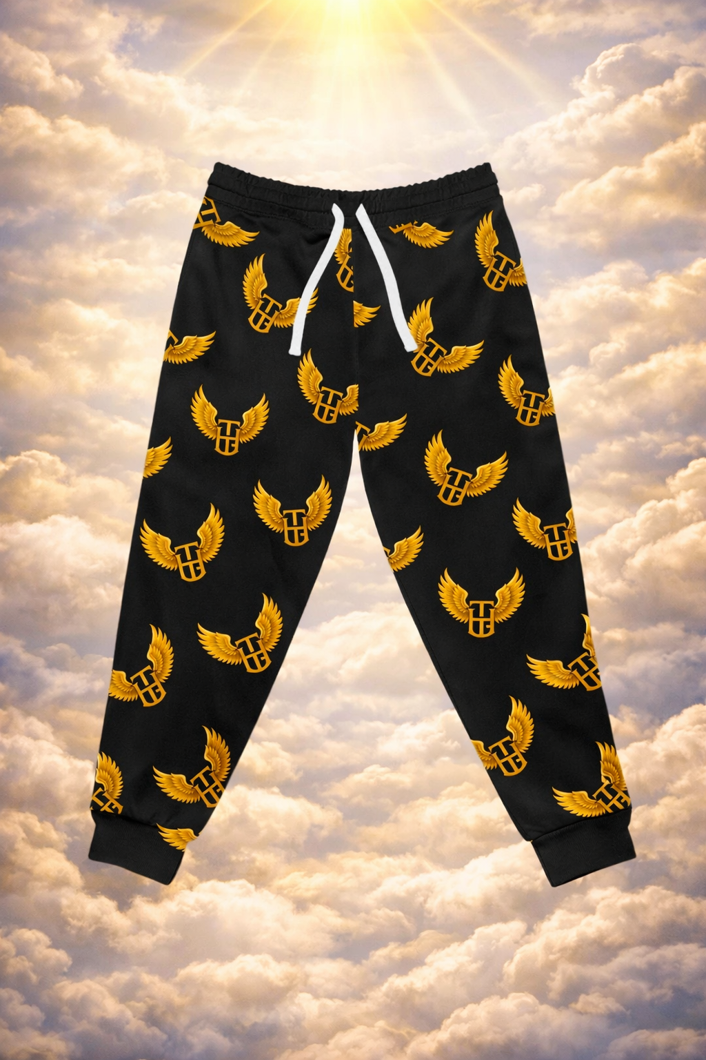 Fly joggers